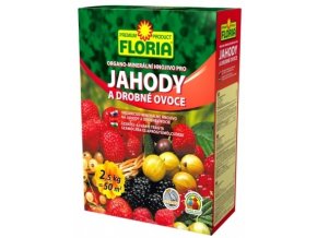 Floria OM na Jahody a Drobné plody - 2,5kg