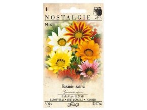 43778 gazanie zariva mix nostalgie