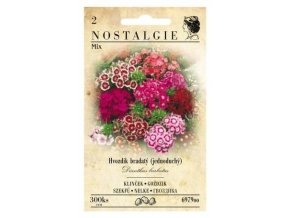 44897 hvozdik bradaty vysoky jednoduchy mix nostalgie