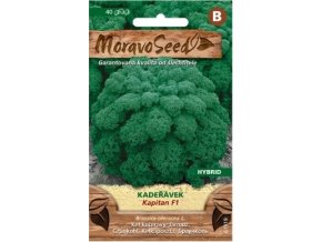 45275 kaderavek kapitan f1 moravoseed