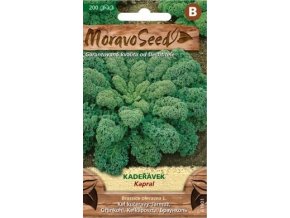 45281 kaderavek kapral moravoseed