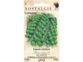 45455 kapusta ruzickova casiopea roodnerf nostalgie