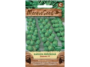 45461 kapusta ruzickova dolores f1 moravoseed