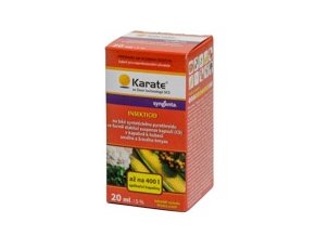 karate 20