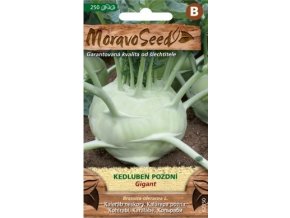 45560 kedluben gigant moravoseed