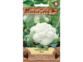 46844 kvetak beta moravoseed