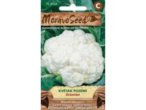 46850 kvetak octavian moravoseed