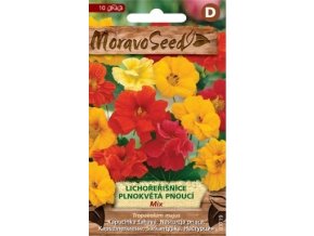 47882 lichorerisnice plnokveta pnouci mix moravoseed