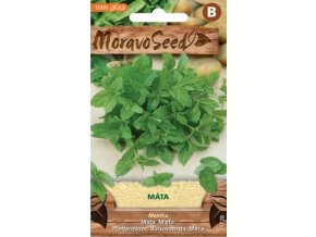 48362 mata peprna moravoseed