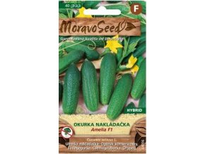 51131 okurka nakladacka amelia f1 moravoseed