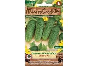 51134 okurka nakladacka corveta f1 moravoseed