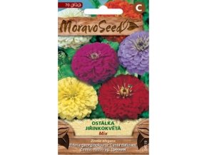 51419 ostalka jirinkokveta mix moravoseed