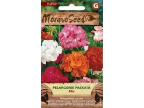 52322 pelargonie paskata mix moravoseed