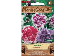 52436 petunie plnokveta pirouette f1 mix moravoseed