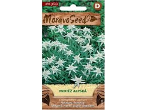 52874 protez alpska moravoseed