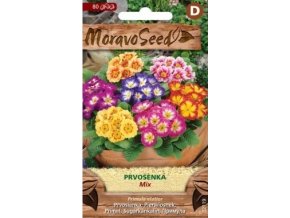 52901 prvosenka mix moravoseed