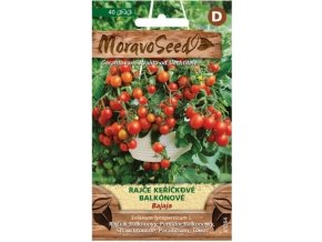 53003 rajce kerickove bajaja moravoseed