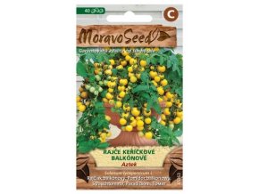 53006 rajce kerickove balkonove aztek moravoseed