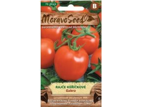 53012 rajce kerickove galera moravoseed