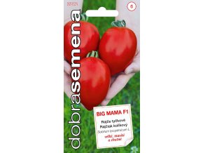 53042 rajce tyckove big mama f1 xl masite 10s dobra semena