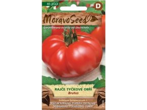 53114 rajce tyckove brutus moravoseed