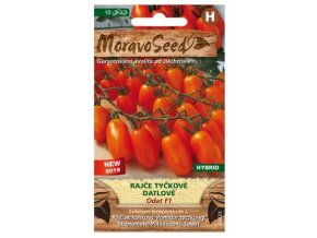 53132 rajce tyckove datlove odat f1 moravoseed