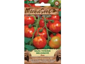 53135 rajce tyckove duo moravoseed