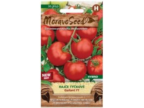 53138 rajce tyckove gallant f1 moravoseed