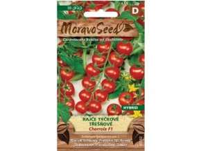 53159 rajce tyckove cherrola moravoseed