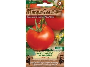 53189 rajce tyckove pedro f1 moravoseed