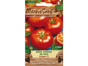 53267 rajce tyckove uragan f1 moravoseed