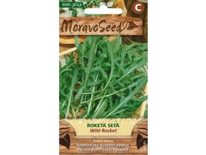 53483 roketa seta wild rocket moravoseed