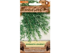 53534 rozmaryn lekarsky moravoseed