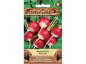 54089 redkvicka poloneza moravoseed