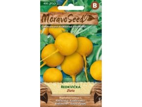 54113 redkvicka zlata moravoseed