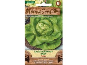 54404 salat hlavkovy amur moravoseed