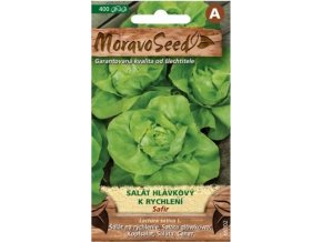 54434 salat hlavkovy safir moravoseed