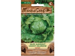 54485 salat ledovy larsen moravoseed