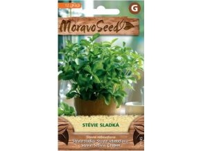 55346 stevie sladka moravoseed