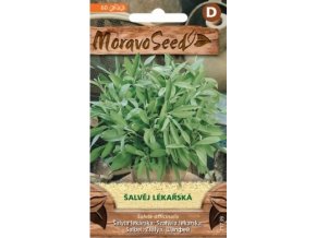 57284 salvej lekarska moravoseed