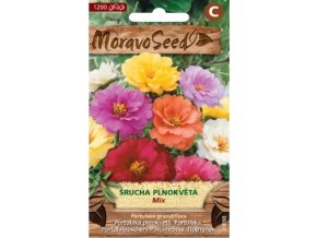 57401 srucha velkokveta plnokveta mix moravoseed