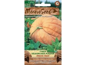 59078 tykev plaziva atlantic giant moravoseed