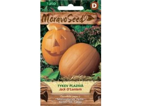 59096 tykev plaziva jack o lantern moravoseed