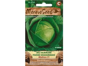 60146 zeli hlavkove madison f1 moravoseed