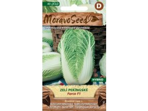 60170 zeli pekingske forco f1 moravoseed