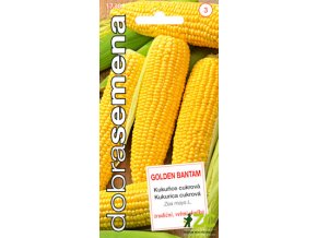 62324 1 kukurice cukrova golden bantam 5g dobra semena