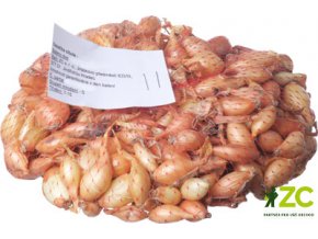 Sazečka - Sturon (8-16 mm) (hmotnost 250 g)