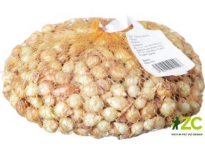 Sazečka - Štutgart (8-16 mm) (hmotnost 250 g)