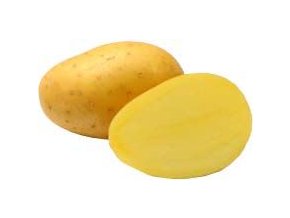 64964 1 sadba brambor antonia 5 kg pr