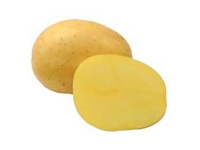 64973 1 sadba brambor belana 5 kg r